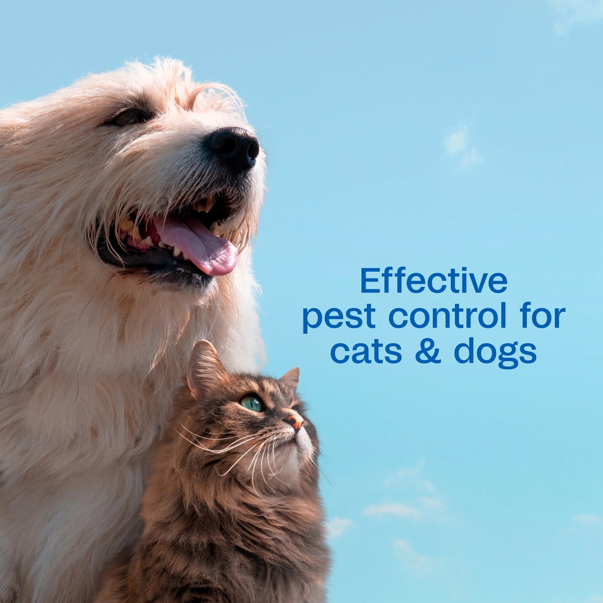 Flea & Tick Spray (16 Fl Oz)